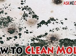 How to Clean Mold