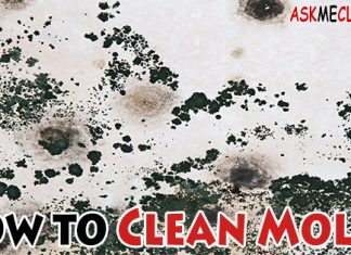 How to Clean Mold