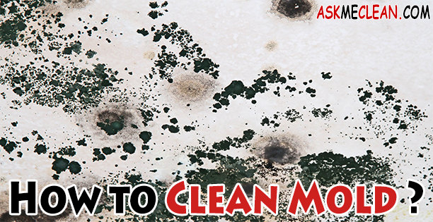 How to Clean Mold