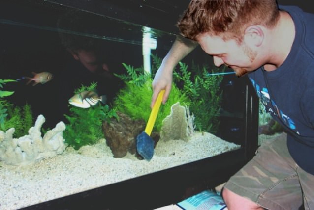 Clean a Fish Tank