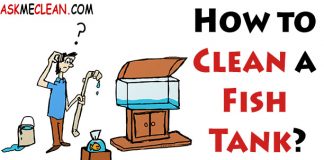 How to Clean a Fish Tank