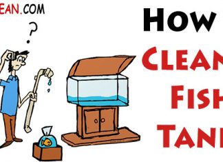 How to Clean a Fish Tank