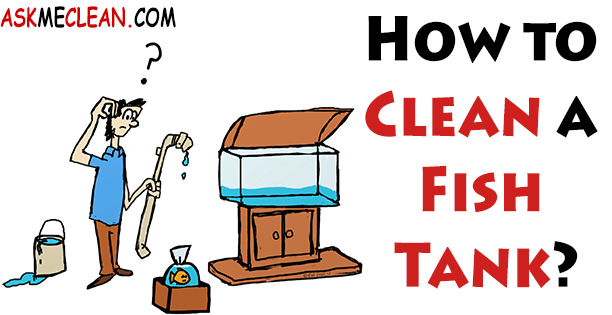 How to Clean a Fish Tank