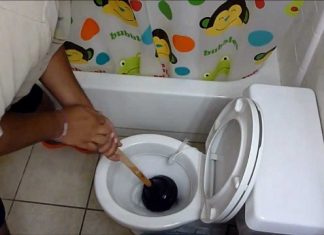 Plunge a Toilet