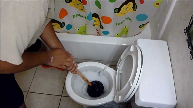 Plunge a Toilet