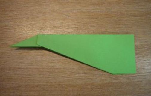 Fold Other Side to Make a Paper Airplane