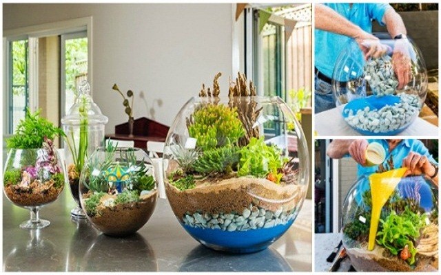 How to Make a Terrarium