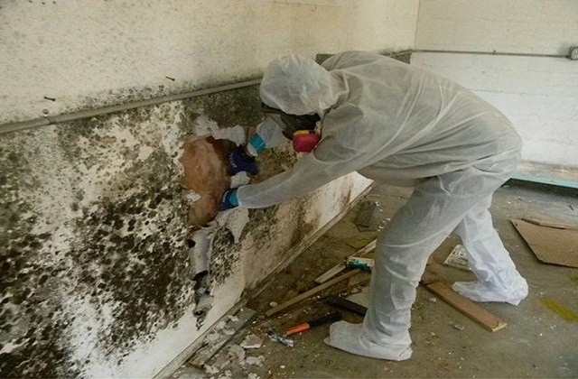 how to remove mold
